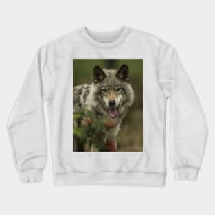 Timber Wolf Crewneck Sweatshirt